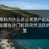 新91黑料为什么总让老用户起疑？答案可能藏在冷门栏目突然活跃的信号里