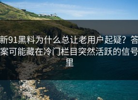 新91黑料为什么总让老用户起疑？答案可能藏在冷门栏目突然活跃的信号里