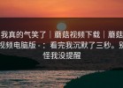 我真的气笑了｜蘑菇视频下载｜蘑菇视频电脑版 - ：看完我沉默了三秒。别怪我没提醒