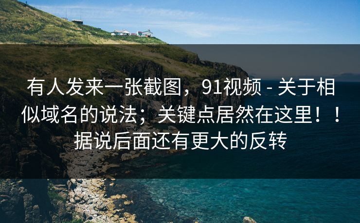 有人发来一张截图，91视频 - 关于相似域名的说法；关键点居然在这里！！据说后面还有更大的反转