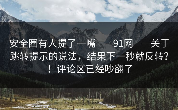 安全圈有人提了一嘴——91网——关于跳转提示的说法，结果下一秒就反转？！评论区已经吵翻了