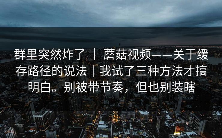 群里突然炸了 ｜ 蘑菇视频——关于缓存路径的说法｜我试了三种方法才搞明白。别被带节奏，但也别装瞎
